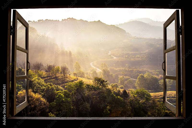 The Window of Tolerance: Understanding Your Nervous System