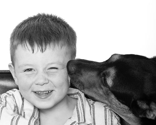 DOGS & KIDS