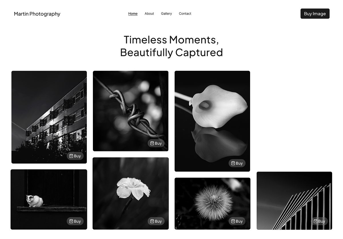 A branded photography website gallery selling prints and digital downloads