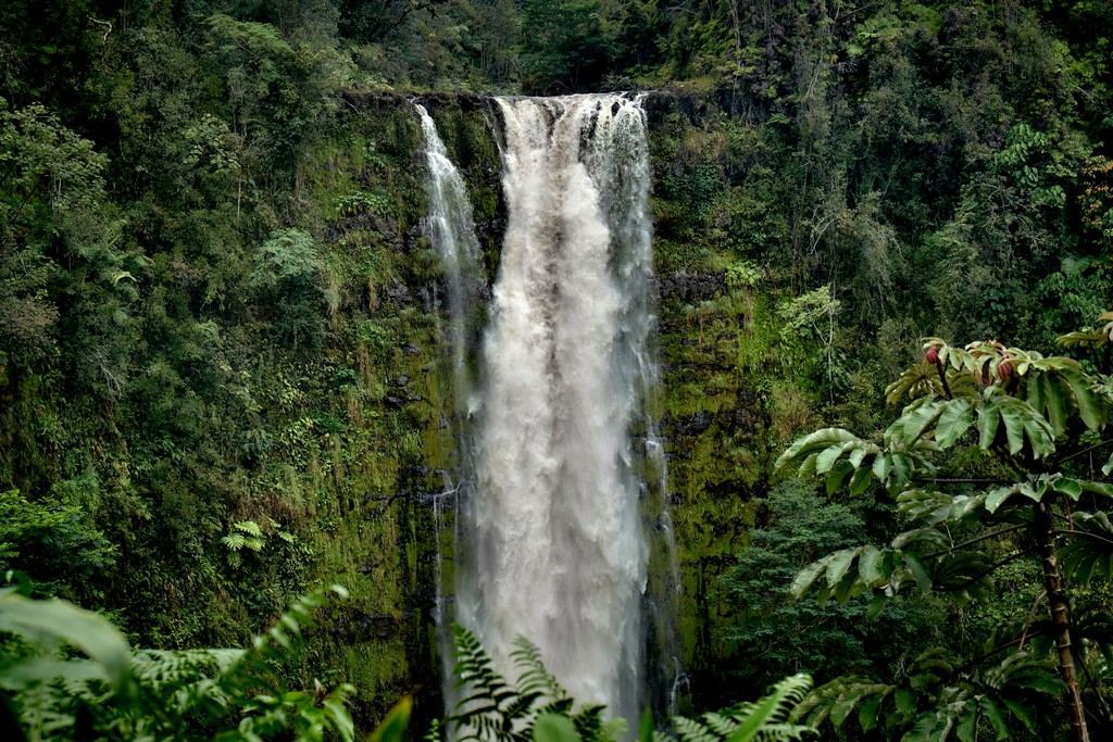Akaka Falls Raging - Honomu, Hawaii