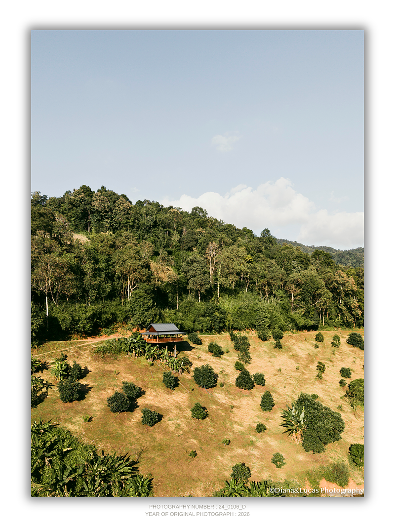 COLLECTION - FROM ABOVE VERTICAL - "The Only House" - LIMITED EDITION 10 of 10