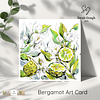 Bergamot Fruit and Flowers | Botanical Illustration | Floral Art Card | with Envelope