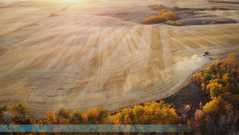 Kross Farm | Five generations of living off the land