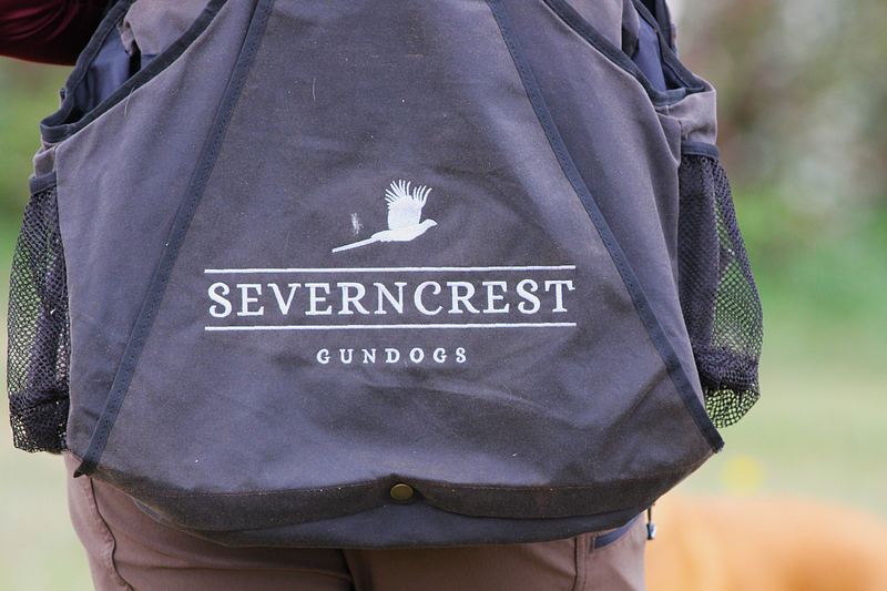 Severncrest Gundogs 2026