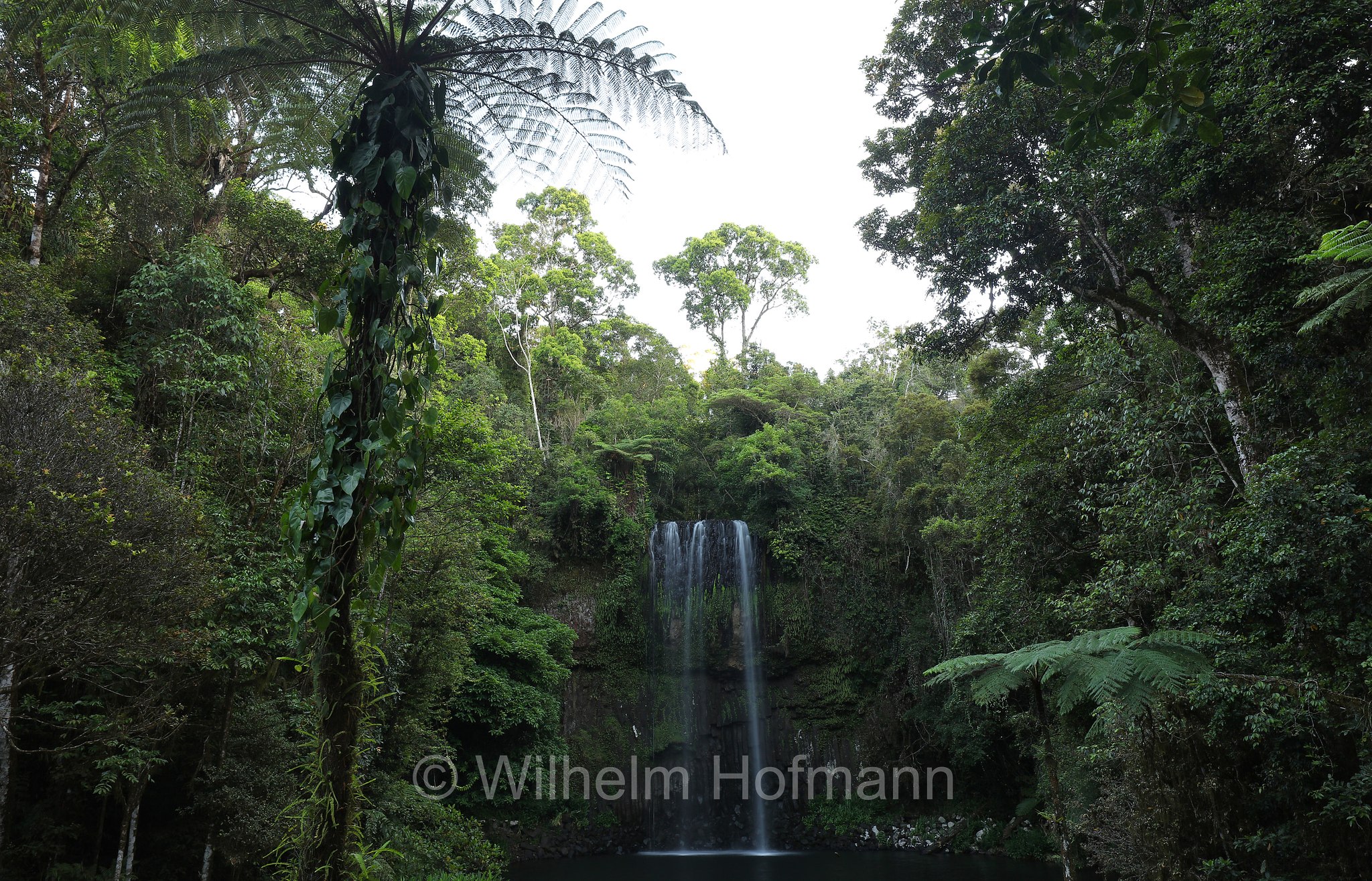 Millaa Millaa Falls, Atherton Tableland, Atherton Tablelands, Queensland, Australia, Australien