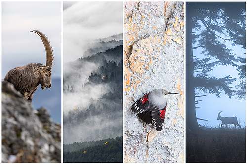 Autumn on the Hohe Wand, Austria, 2026 (german language) &ndash; soon online