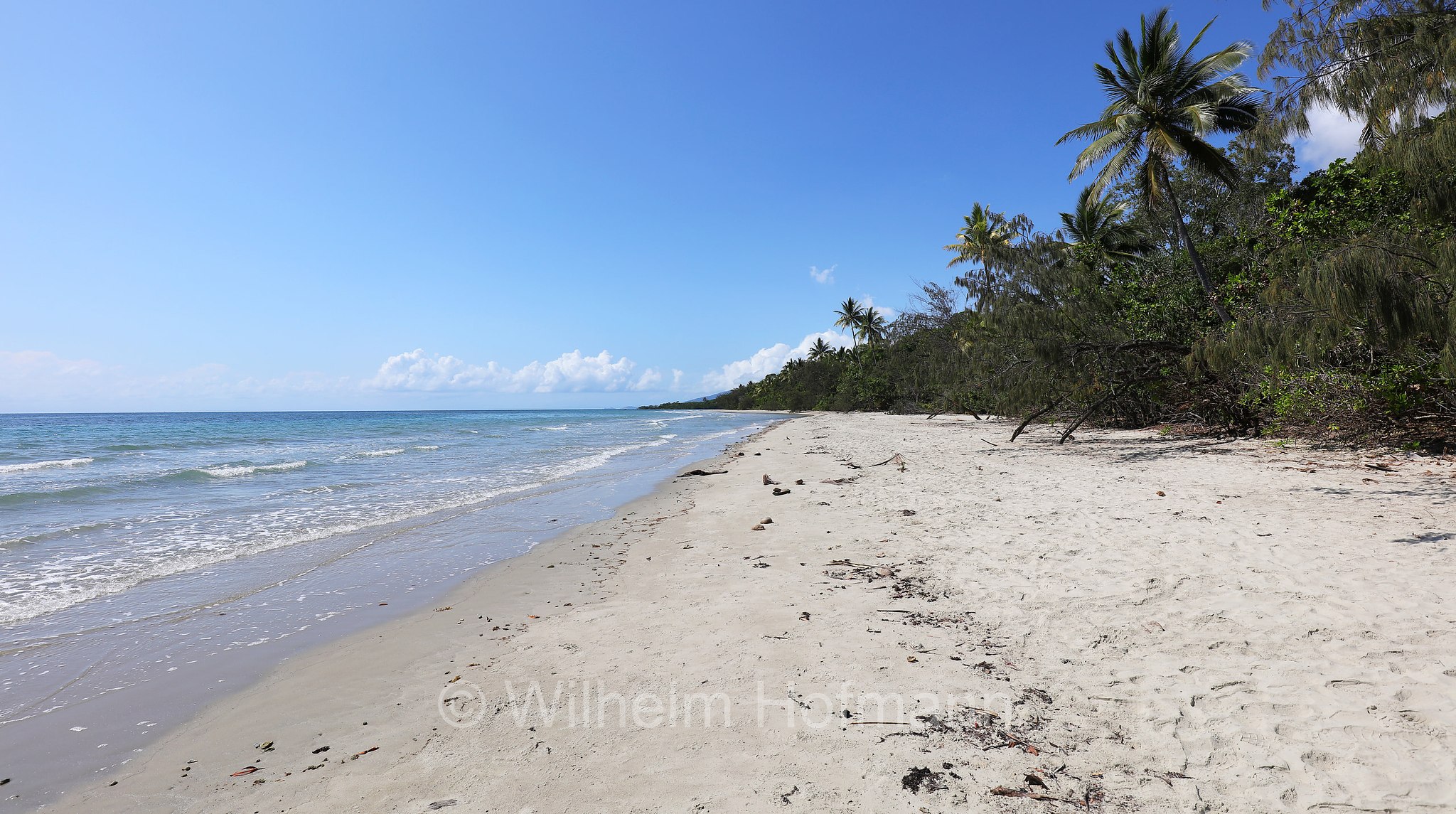 Myall Beach, Cape Tribulation, Daintree National Park, Daintree-Nationalpark, Parco nazionale Daintree, Queensland, Australia, Australien