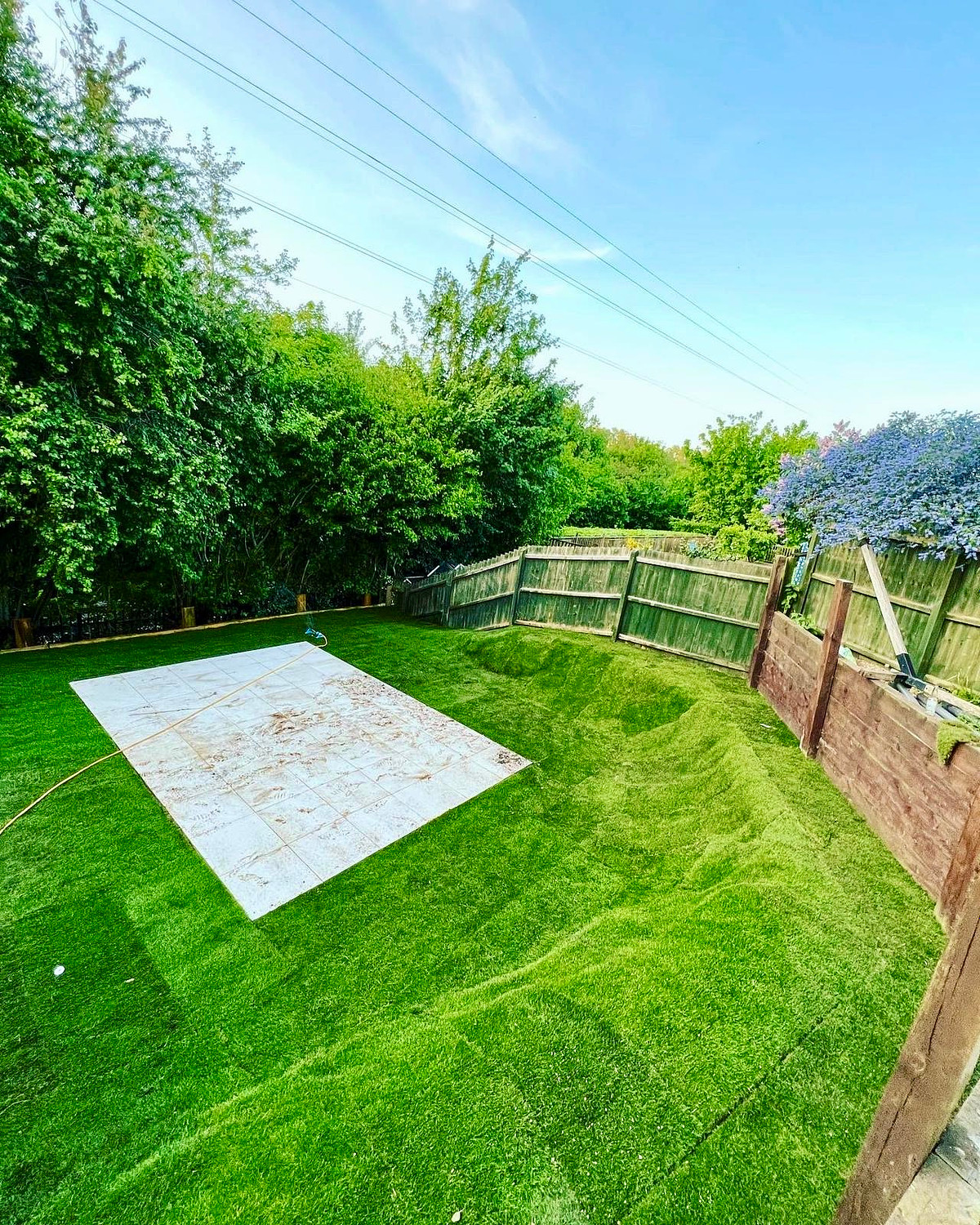 JNV Group Peterborough, large garden, turf install