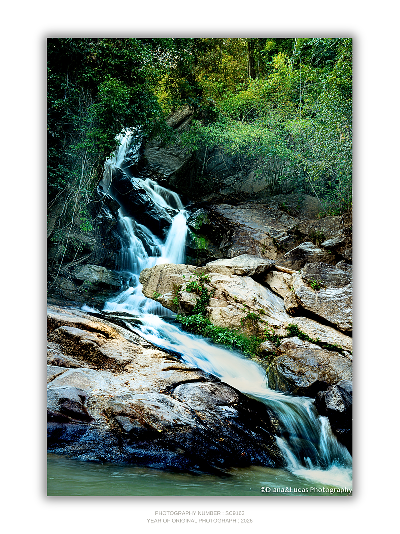 THE ONE - WILDLIFE & NATURE - "Over the Rocks" - LIMITED EDITION 5 of 5