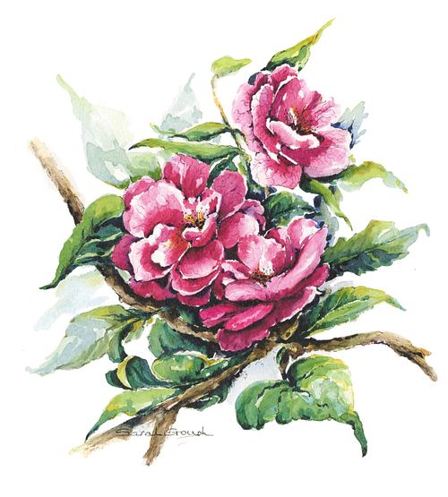 Original Art