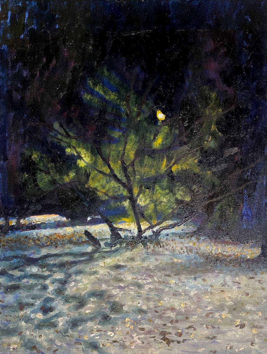 Paintings of surroundings