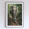 COLLECTION - GIANTS OF THE LAND VERTICAL - "The Only Direction" - LIMITED EDITION 5 of 5
