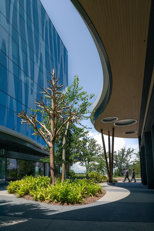 Curved wood canopy and blue glass facade at One Performance Plaza, Lake Nona, Orlando, by HuntonBrady