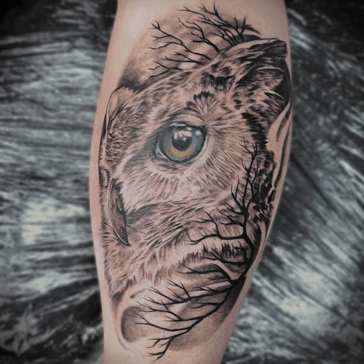 Black and grey realism owl tattoo on the calf, highly detailed feather texture and intense gaze, shaded wildlife tattoo created in Stoke-on-Trent by Alika Tattoo Art.