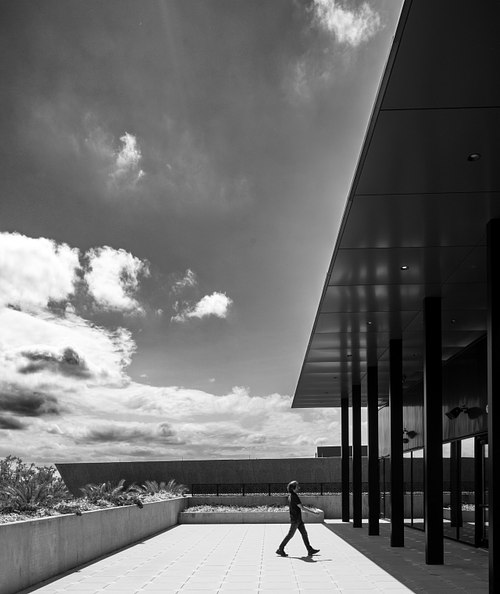 Dramatic black and white architectural photograph of the Winter Park Events Center terrace by Sir David Adjaye, featuring a lone figure walking into a deep geometric shadow to emphasize scale and light.