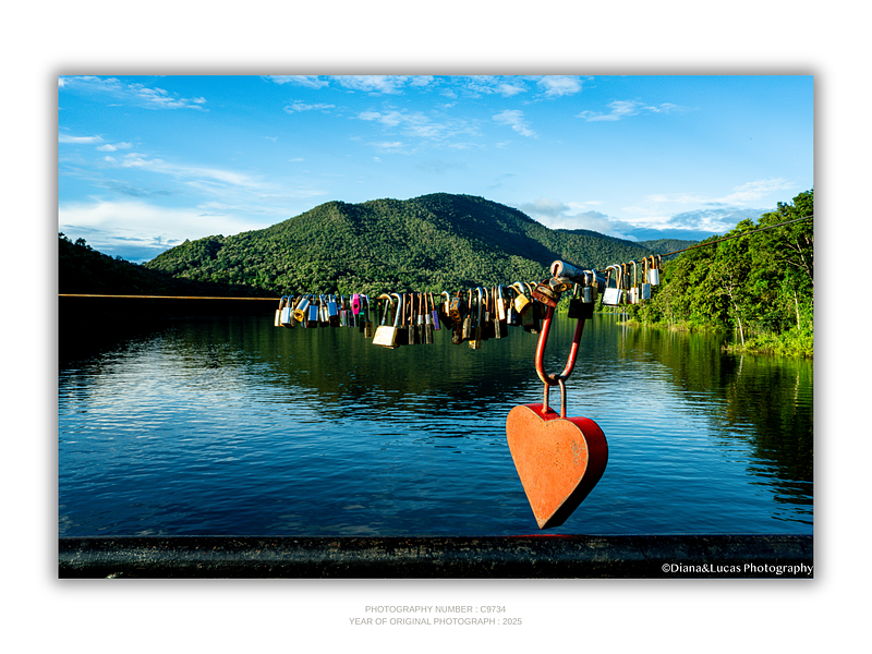 THE ONE - WILDLIFE & NATURE - "Love and the Lake" - LIMITED EDITION 5 of 5