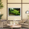 THE ONE - WILDLIFE & NATURE - "Fern First" - LIMITED EDITION 4 of 5