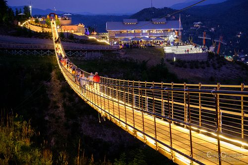 Skybridge At Night 02
