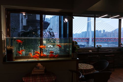 Chongqing - Local Markets