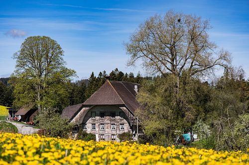 Vor dem Feldchnubel in Dürrenroth