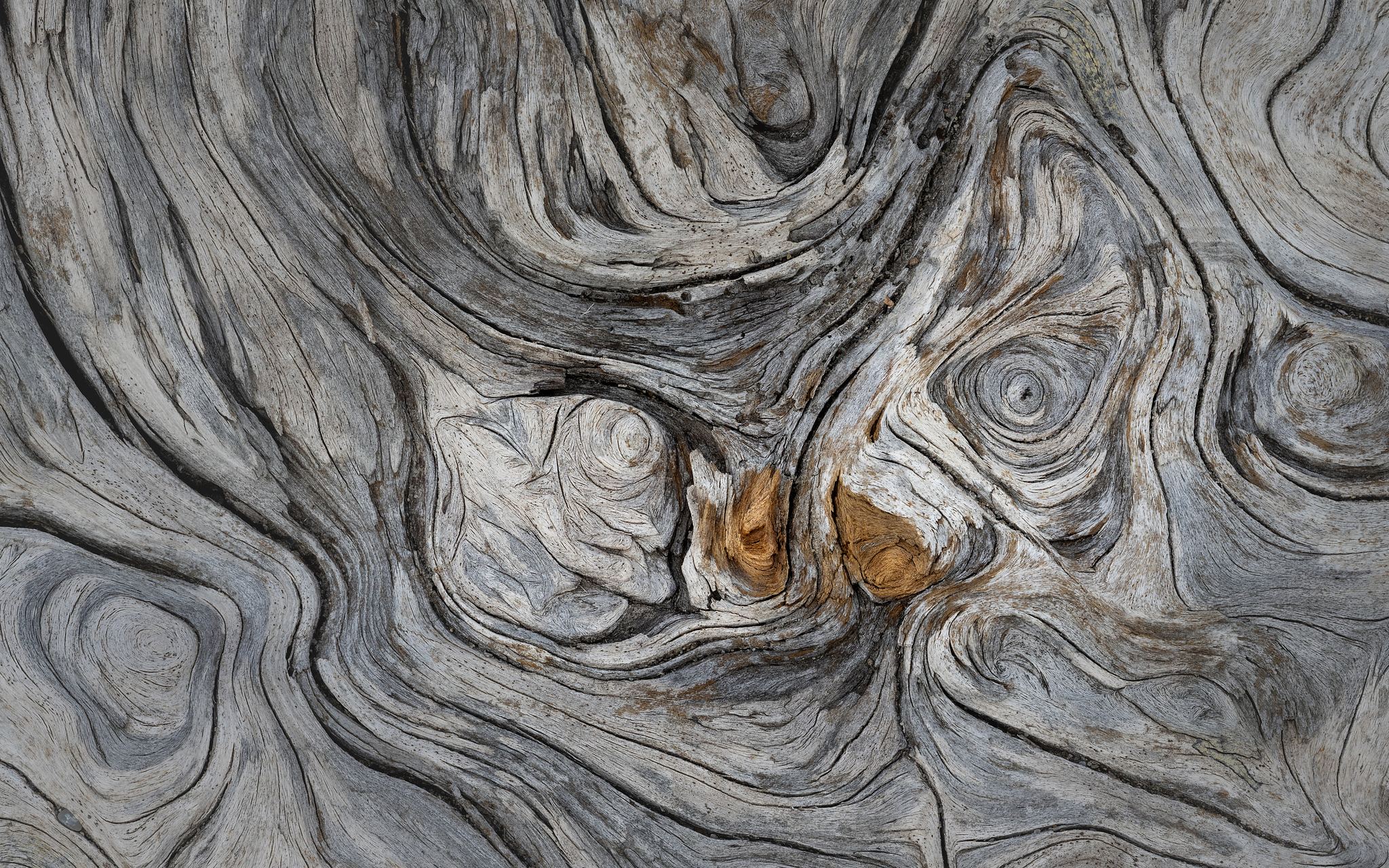 Spirit in the Grain