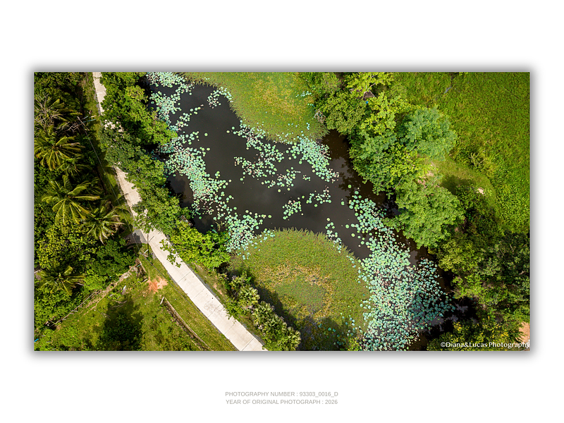 THE ONE - AERIAL PRINTS - "The Curve" - LIMITED EDITION 5 of 5