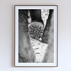 COLLECTION - GIANTS OF THE LAND VERTICAL - "What Carries Her" - LIMITED EDITION 10 of 10