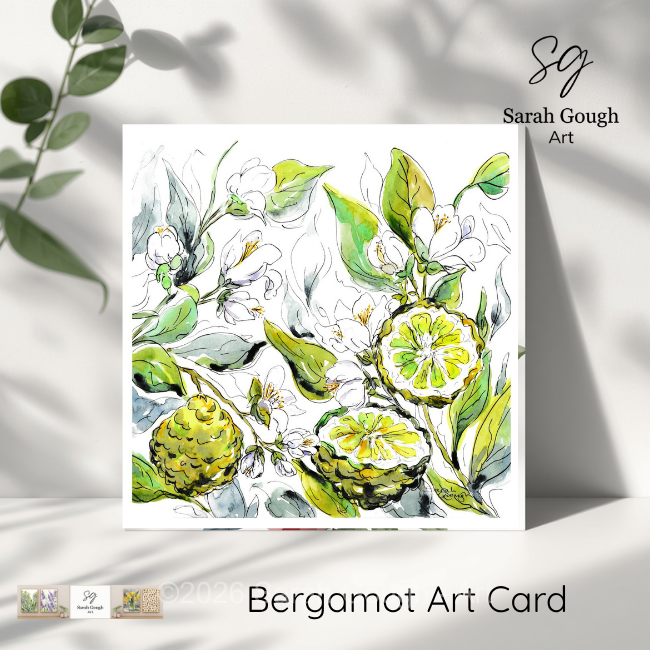 Bergamot Fruit and Flowers | Botanical Illustration | Floral Art Card | with Envelope