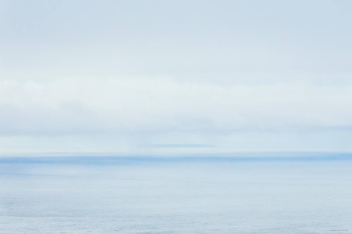 veiling, pacific ocean, 2024
