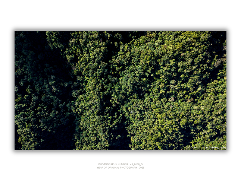 THE ONE - AERIAL PRINTS - "Crown Cover" - LIMITED EDITION 5 of 5