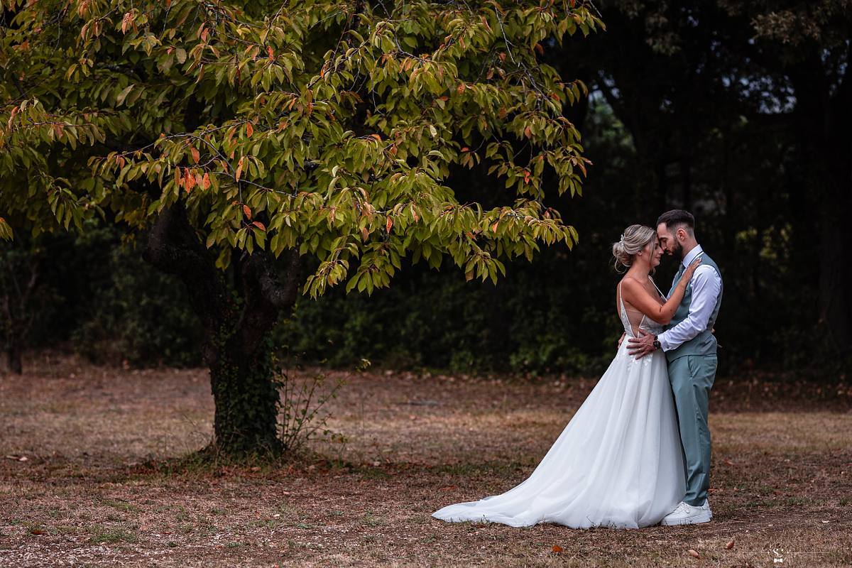 Couple de mari&eacute;s partageant un baiser intime sous des arbres aux feuilles automnales &agrave; N&icirc;mes, une sc&egrave;ne romantique photographi&eacute;e par S&eacute;bastien Clavel