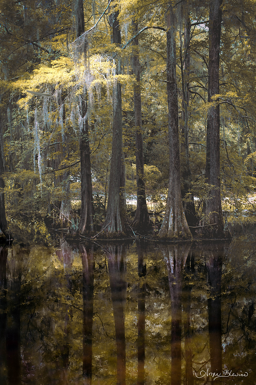 Golden Haze Reflections
