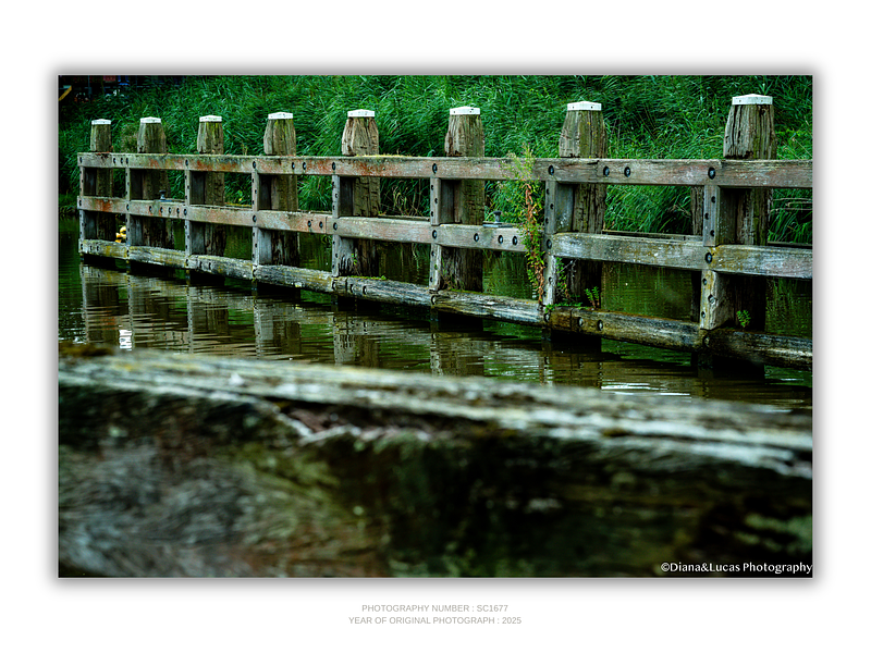 THE ONE - LINES & SHAPES - "Old Timber" - LIMITED EDITION 5 of 5