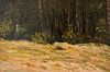 threshold to fantasy: Artist Prints