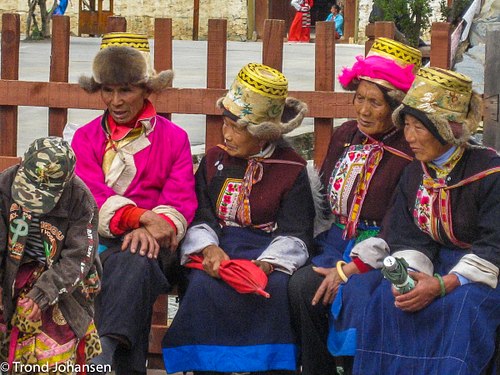 FREEDOM FOR TIBET AND ENVIRONMENT