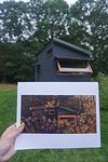 permanent residency: Artist Prints