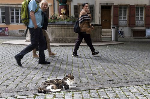In der Altstadt von Biel