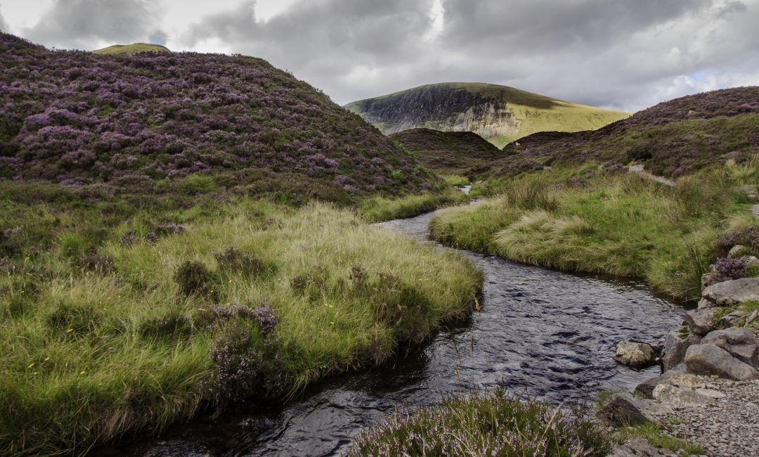 A mountain landscape in north-west Sutherland, Scotland, with a stream winding through the heather-covered hills.