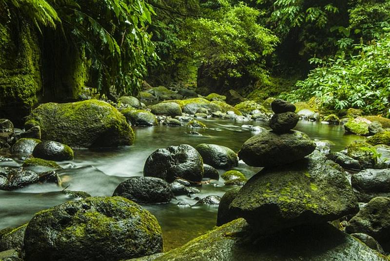 The Azores, an Atlantic eden between volcanoes and lush vegetation