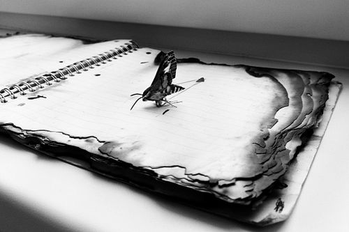 The solitude of delirium