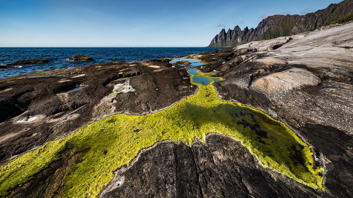Am Steinfjord auf Senja