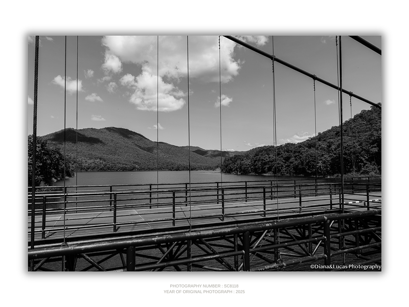 THE ONE - WILDLIFE & NATURE - "Steel and Silence" - LIMITED EDITION 5 of 5