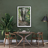 THE ONE - WILDLIFE & NATURE - "Ears Out" - LIMITED EDITION 5 of 5