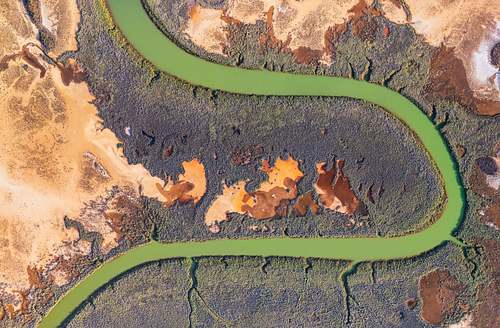 Swamp Pattern