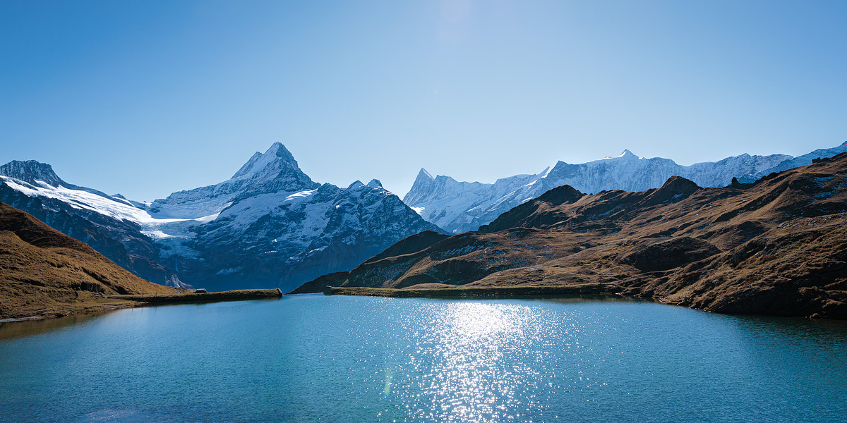 Panoramablick über den türkisblauen Bachalpsee bei Grindelwald mit goldbraunen Alpwiesen im Vordergrund und der schneebedeckten Schreckhorngruppe am Horizont an einem wolkenlosen Tag