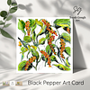 Black Pepper | Botanical Art Card | Watercolour Original Illustration | with Envelope