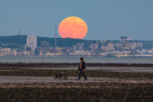 HUGE MOON OVER THE BRIGHTON SKYLINE