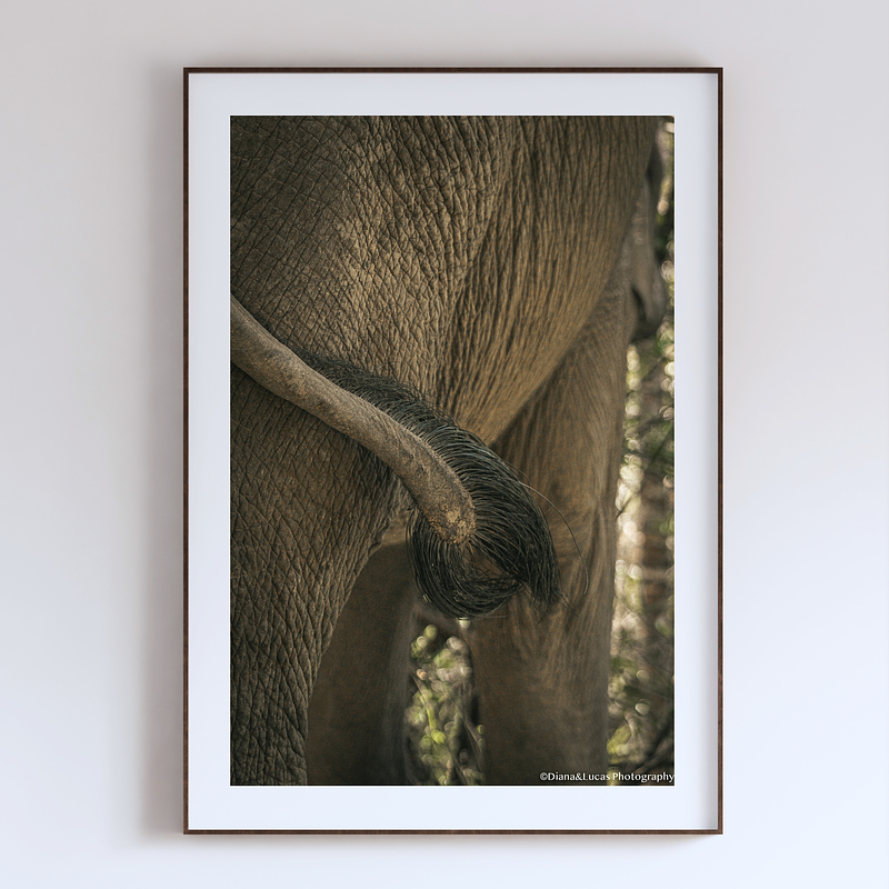 COLLECTION - GIANTS OF THE LAND VERTICAL - "Last Detail" - LIMITED EDITION 10 of 10
