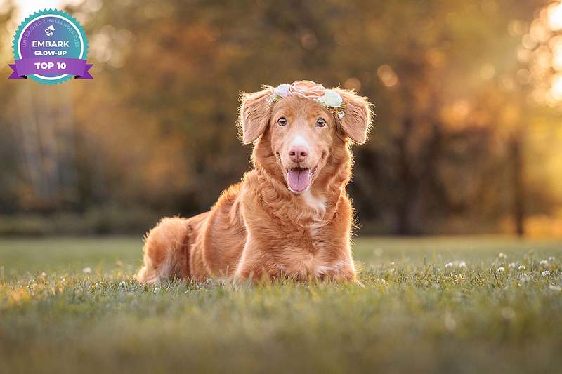 Embark 10: Glow-Up