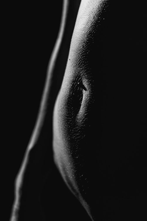 Lower Torso